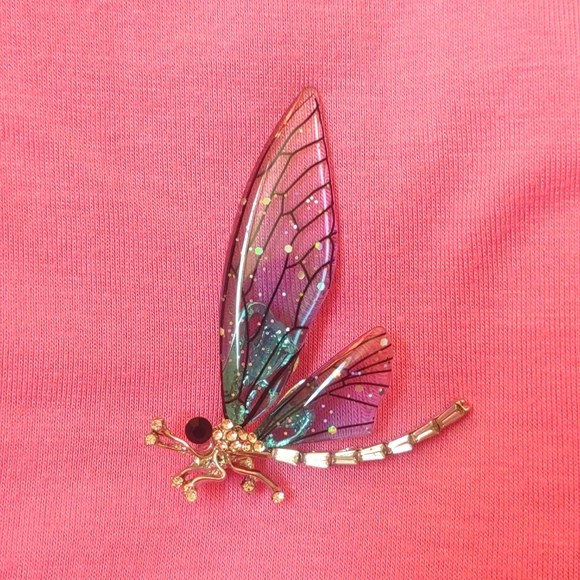 Jewelry - Dragonfly Brooch